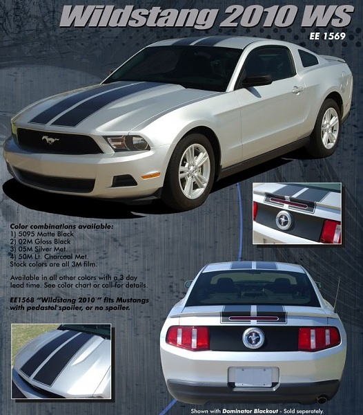 thinking about stripes on my car-wildstang2010flyer.jpg