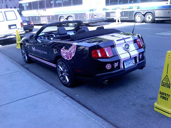 5.0 commercial: Warriors in Pink-0618000847.jpg
