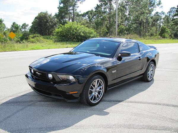 Lights, Camera... Action! Photo Shoot with my Black 5.0-mustang-500.jpg