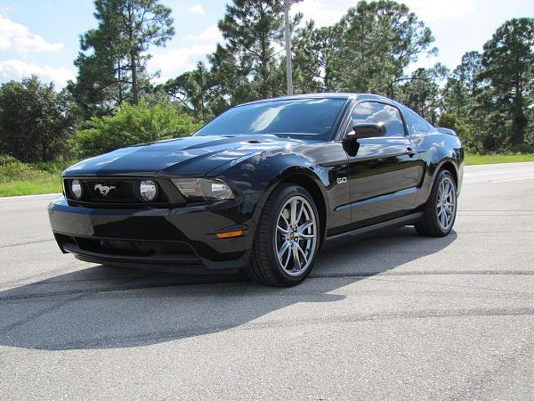 Lights, Camera... Action! Photo Shoot with my Black 5.0-mustang-502.jpg