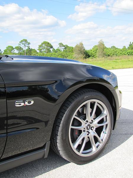 Lights, Camera... Action! Photo Shoot with my Black 5.0-mustang-506.jpg