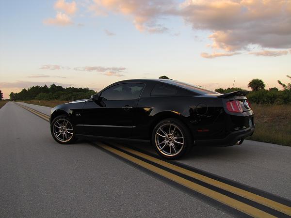 Lights, Camera... Action! Photo Shoot with my Black 5.0-mustang-510.jpg