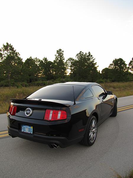 Lights, Camera... Action! Photo Shoot with my Black 5.0-mustang-513.jpg