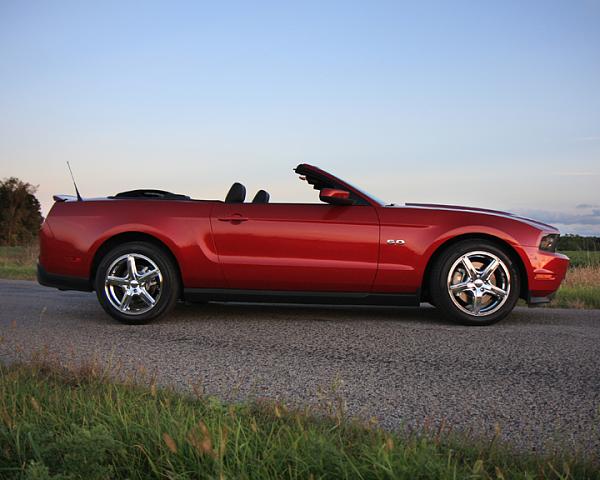 How many owners here have 2011 GT Convertibles?-img_7908_8x10_72.jpg