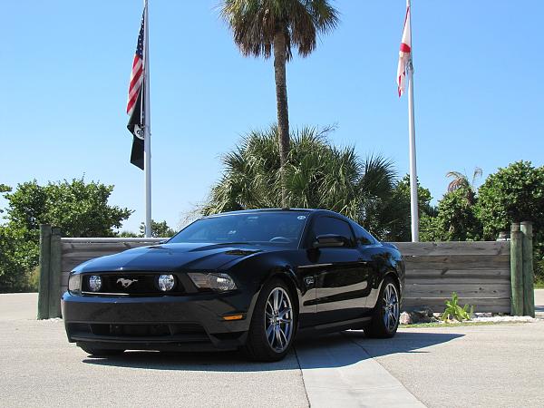 Lights, Camera... Action! Photo Shoot with my Black 5.0-mustang-601.jpg