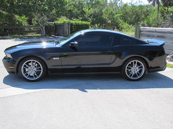 Lights, Camera... Action! Photo Shoot with my Black 5.0-mustang-603.jpg