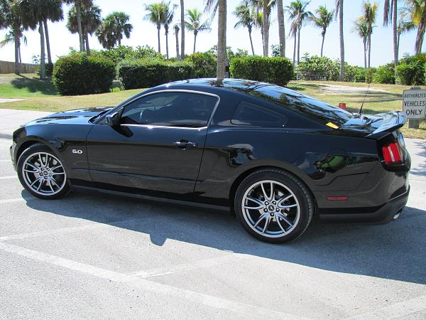 Lights, Camera... Action! Photo Shoot with my Black 5.0-mustang-606.jpg