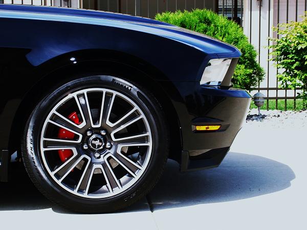 Rim Center caps-dsc01993.jpg