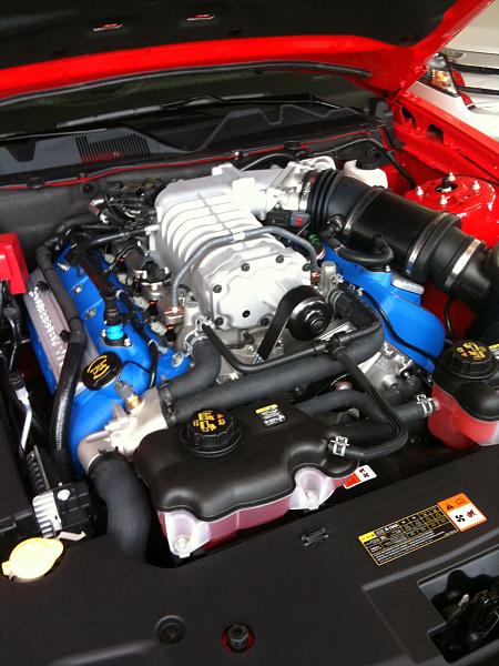 New member, just ordered-136.jpg
