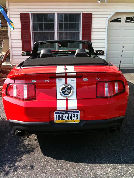New member, just ordered-137.jpg