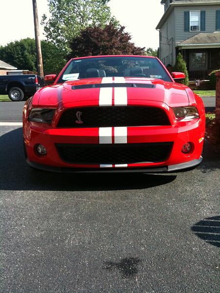 New member, just ordered-138.jpg