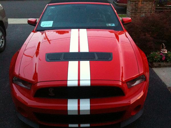 New member, just ordered-140.jpg