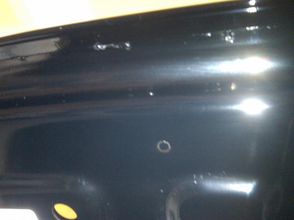 Who out there with a 2010/11 has hood corrosion?-img00101-20110212-1701.jpg-mustang-pic.jpg