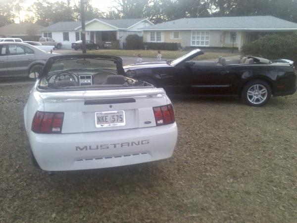 My Collection-mustangs.jpg