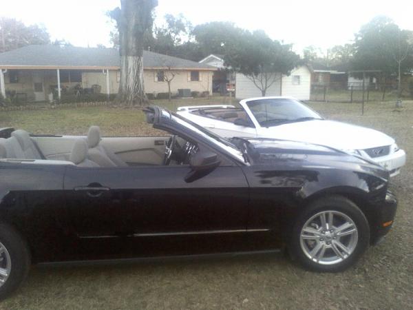 My Collection-182644_167685036613019_100001145726841_333887_3513491_n.jpg