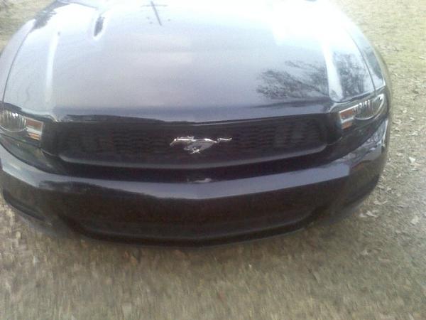 My Collection-mustangs-6.jpg