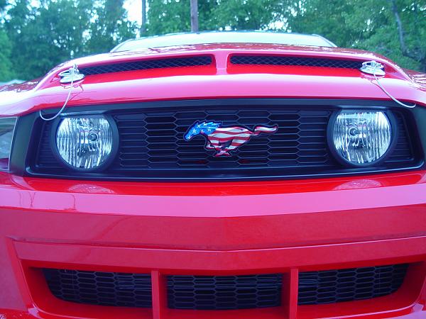 Custom Painted Pony Grill Emblems... HOT!-dsc01686.jpg