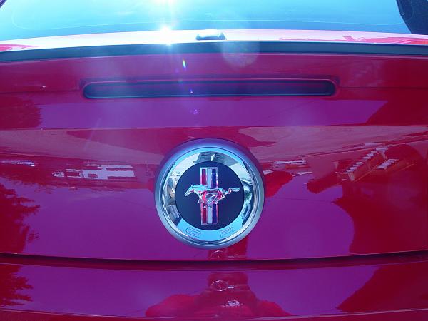 2010 v6 tribar pony emblem rear declid panel-dsc01700.jpg