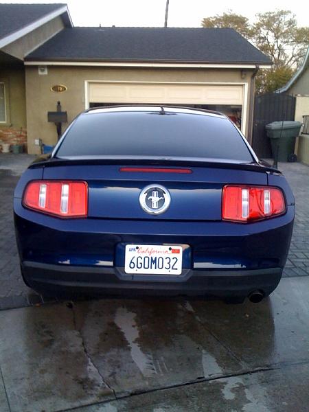 Decklid panel?? for a 2010 mustang-mustangblue.jpg