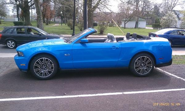 VIN, Build, Delivered: The 2012 Edition-mustang1.jpg