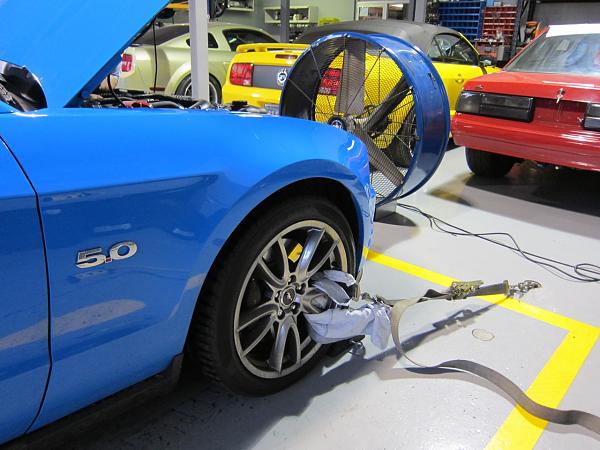 Got the Steeda tune, pics and video included-img_0668.jpg