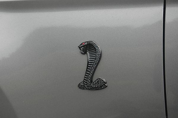 Guess what? More stang pics...-frontsnake.jpg