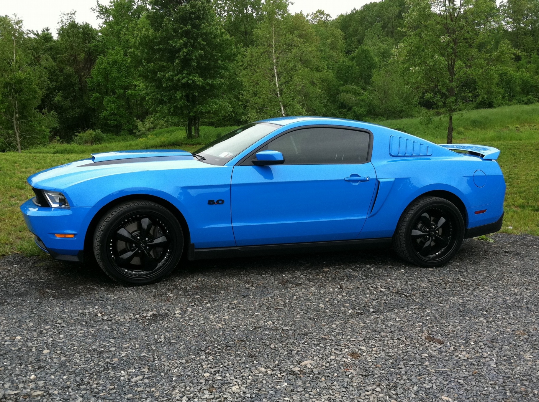 5 Tint Added The Mustang Source Ford Mustang Forums