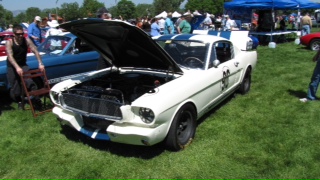 Name:  shelby1.JPG
Views: 452
Size:  39.4 KB