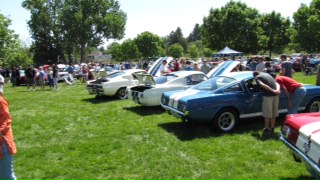 Name:  shelby2.JPG
Views: 461
Size:  26.1 KB