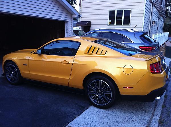 Yellow Blaze window Louvers ?-img_0663.jpg