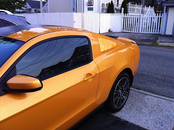 Yellow Blaze window Louvers ?-img_0659.jpg