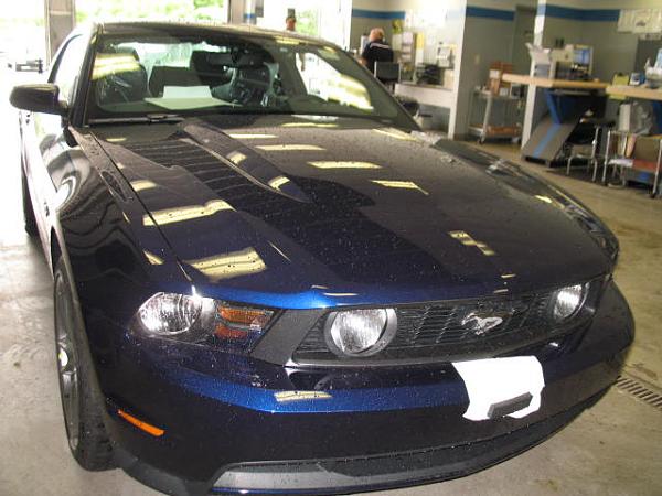 VIN, Build, Delivered: The 2012 Edition-2012-mustang-005.jpg