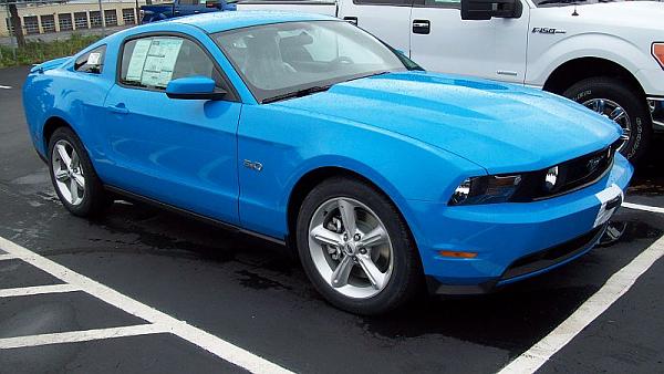 Newbie with questions-mustang1.jpg