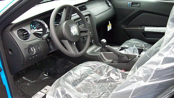 Newbie with questions-mustang3.jpg