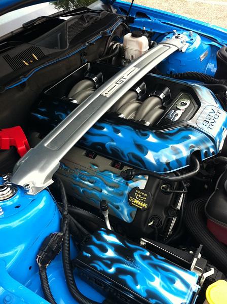 Strut tower covers-rsz_img_0109.jpg