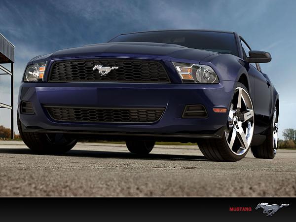 Where to get these rims?-mustang2_1024x768.jpg