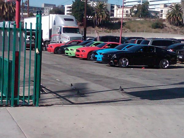 Pic of a few 13's-img-20111209-00060.jpg