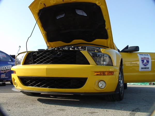who said size doesn't matter (or the gt 500 pics again)-dsc00056.jpg