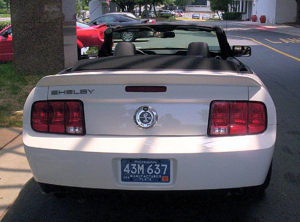 White Shelby Vert Pix!!-shelbyvert1.jpg