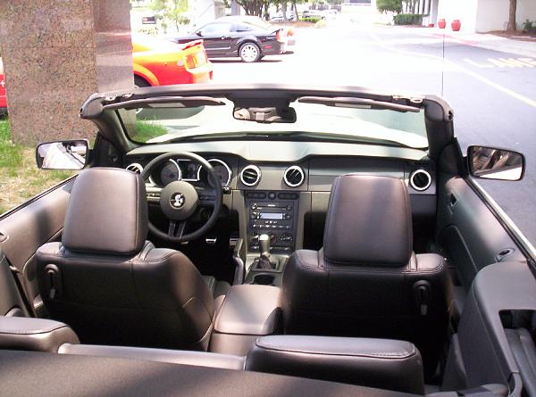 White Shelby Vert Pix!!-shelbyvert2.jpg