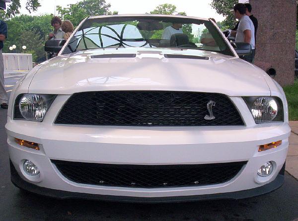 White Shelby Vert Pix!!-shelbyvert3.jpg