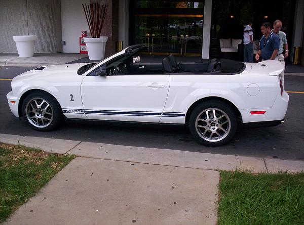 White Shelby Vert Pix!!-shelbyvert5.jpg