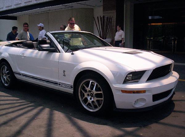 White Shelby Vert Pix!!-shelbyvert6.jpg