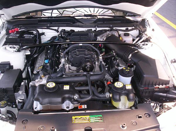 White Shelby Vert Pix!!-shelbyvert8.jpg