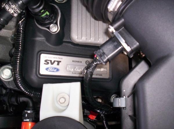 White Shelby Vert Pix!!-shelbyvert9.jpg