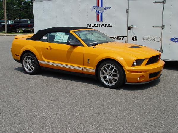 Have You Got Yours???-shelby-2007-008.jpg