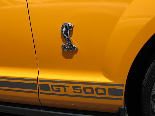 Grabber Orange GT500 Convertible-img_0175m.jpg
