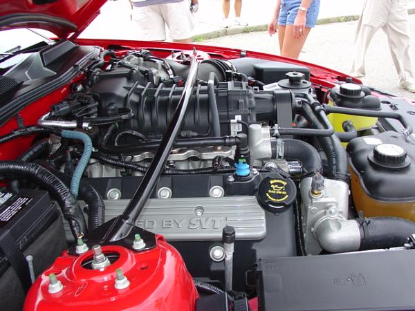 Here's pics of red GT500s at TRI-State Mustang Show from Cinn. OH 7/30/06-dsc04831.jpg