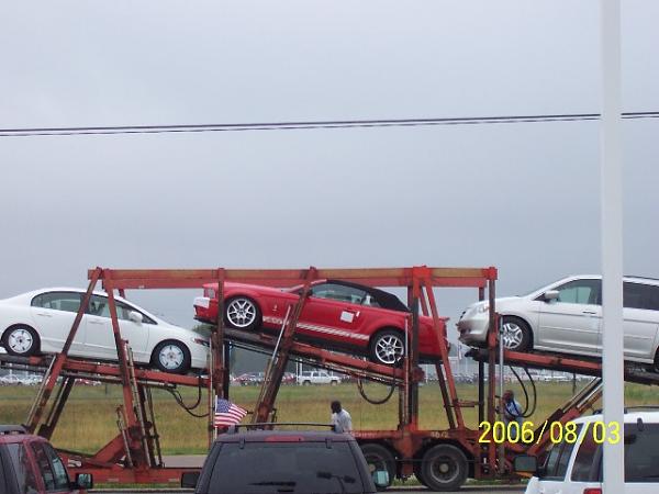 Delivered my 2nd Shelby yesterday-web1.jpg