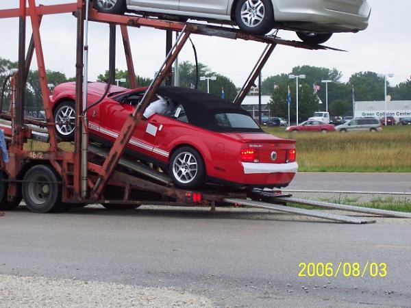 Delivered my 2nd Shelby yesterday-web2.jpg